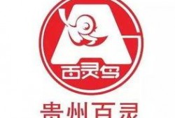 贵州百灵爆料最新消息,揭秘神秘项目背后的真相